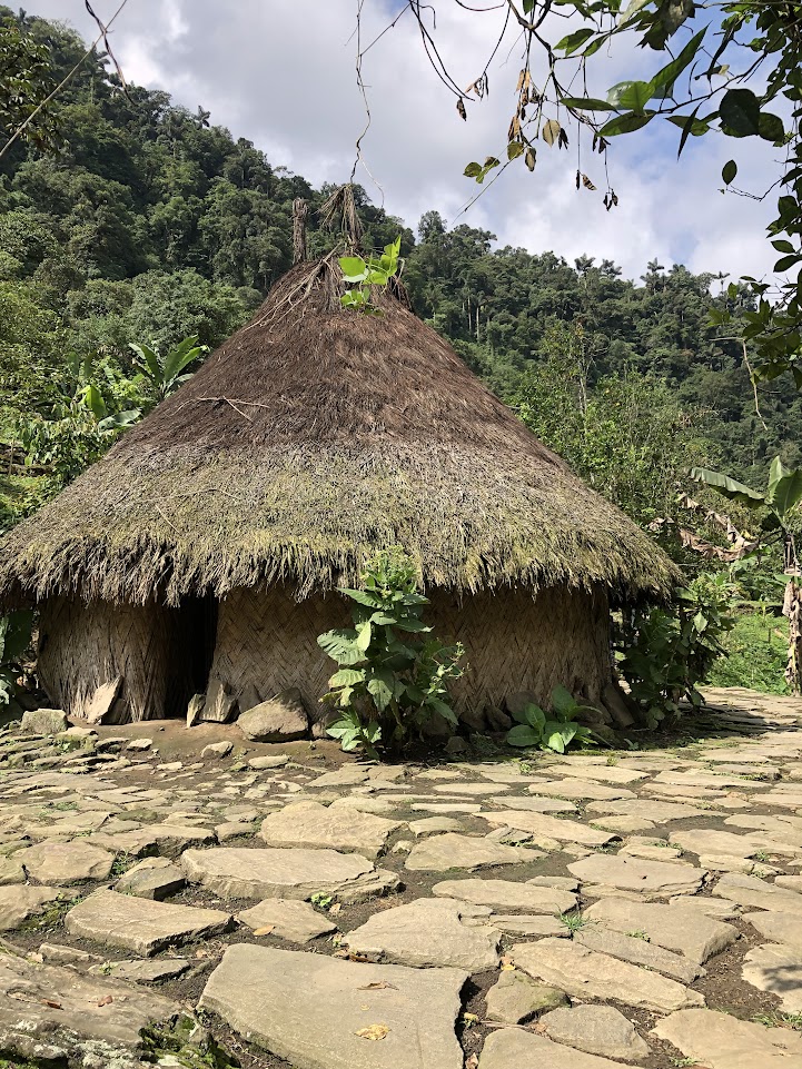 indigenas de colombia