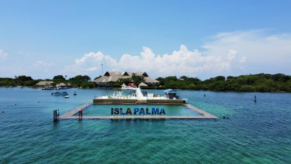 Tour isla palma - Image 4